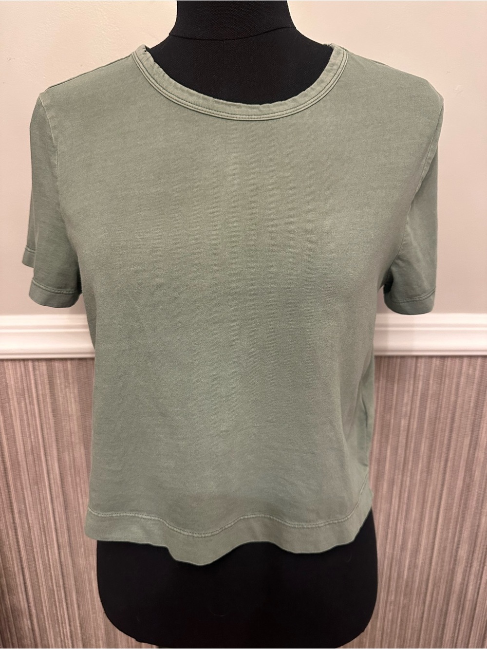 GAP Vintage Tee Cropped Sage Green Organic Cotton Short Sleeve Top Medium